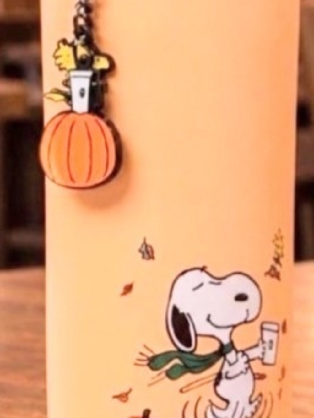 Starbucks Snoopy Orange Pumpkin Travel Tumbler 2026